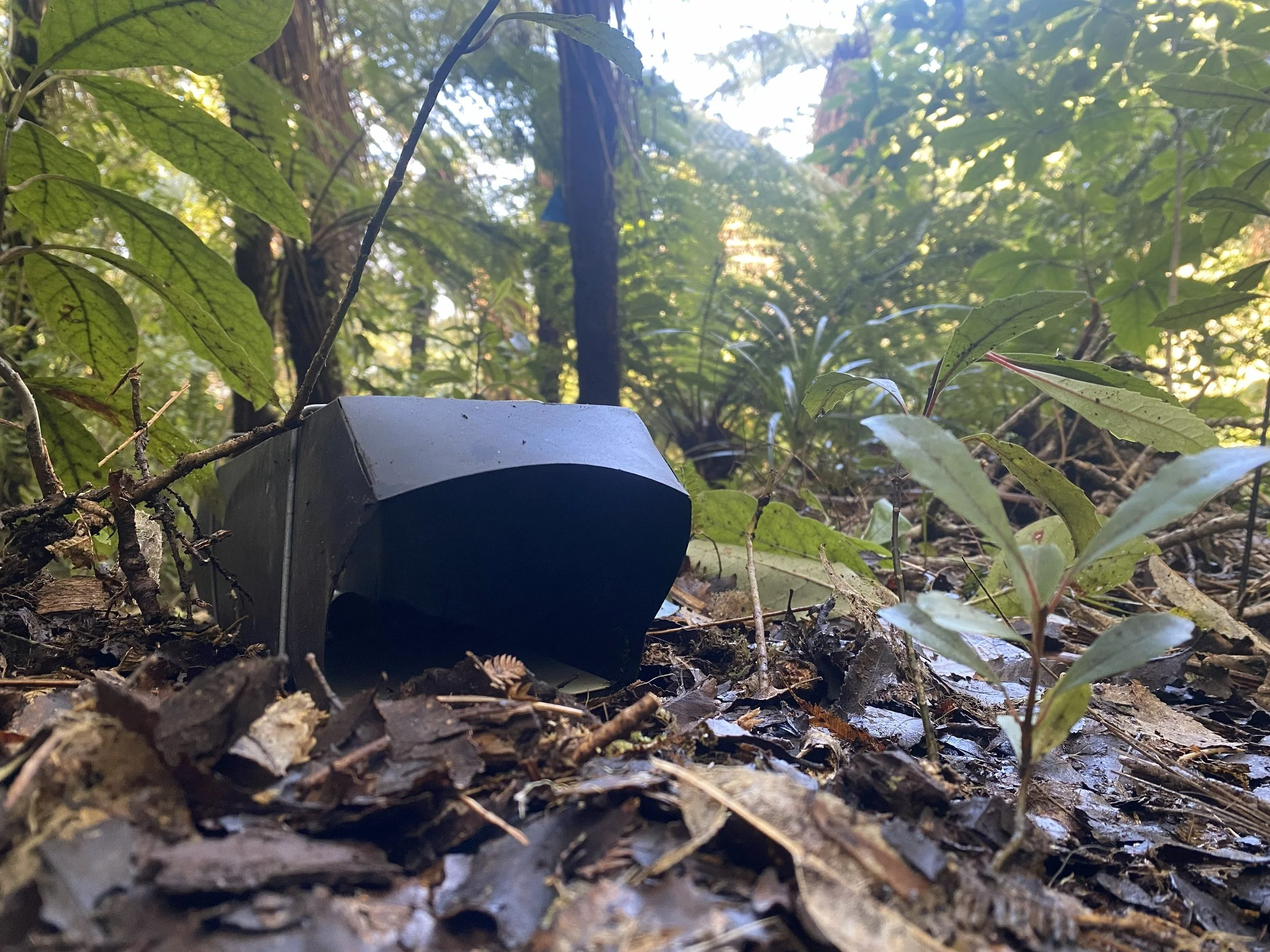 A rat tracking tunnel