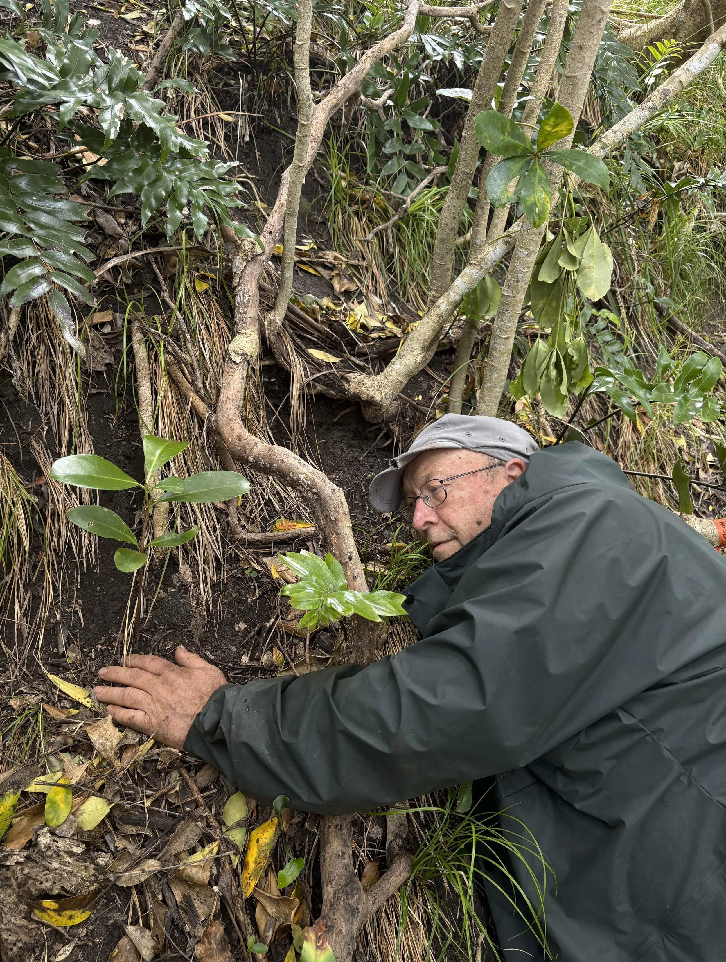 Graeme, with his head down a burrow 