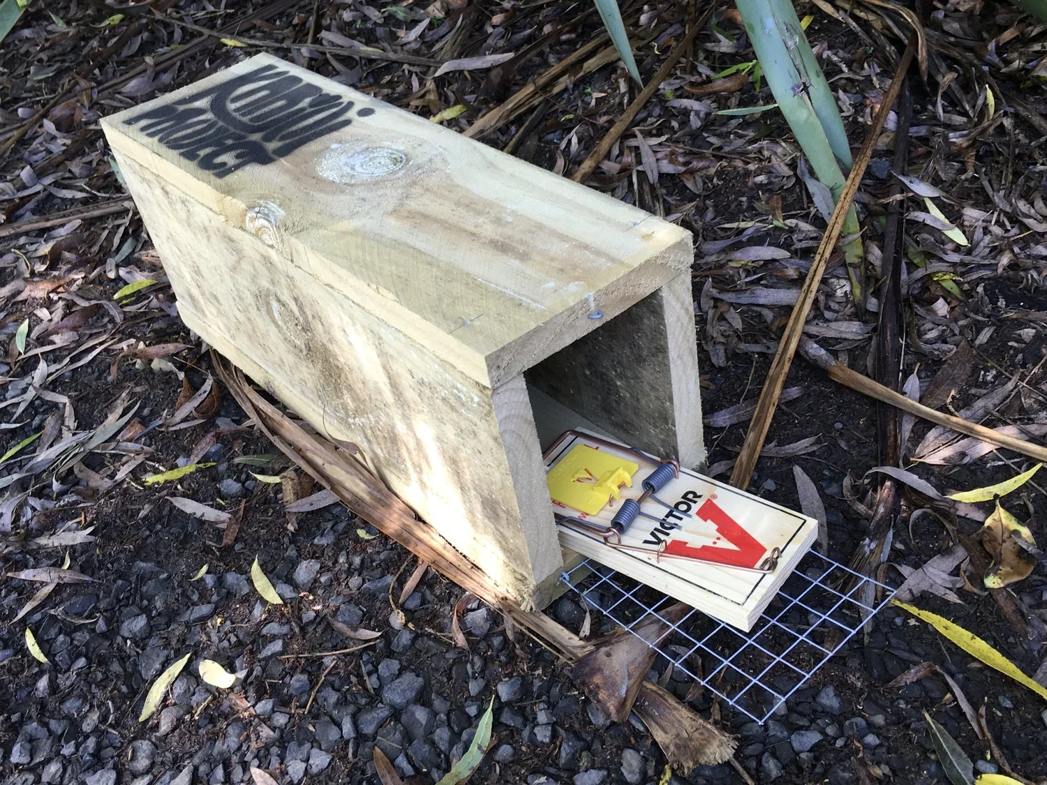 Victor+rat+trap+in+wooden+box.webp