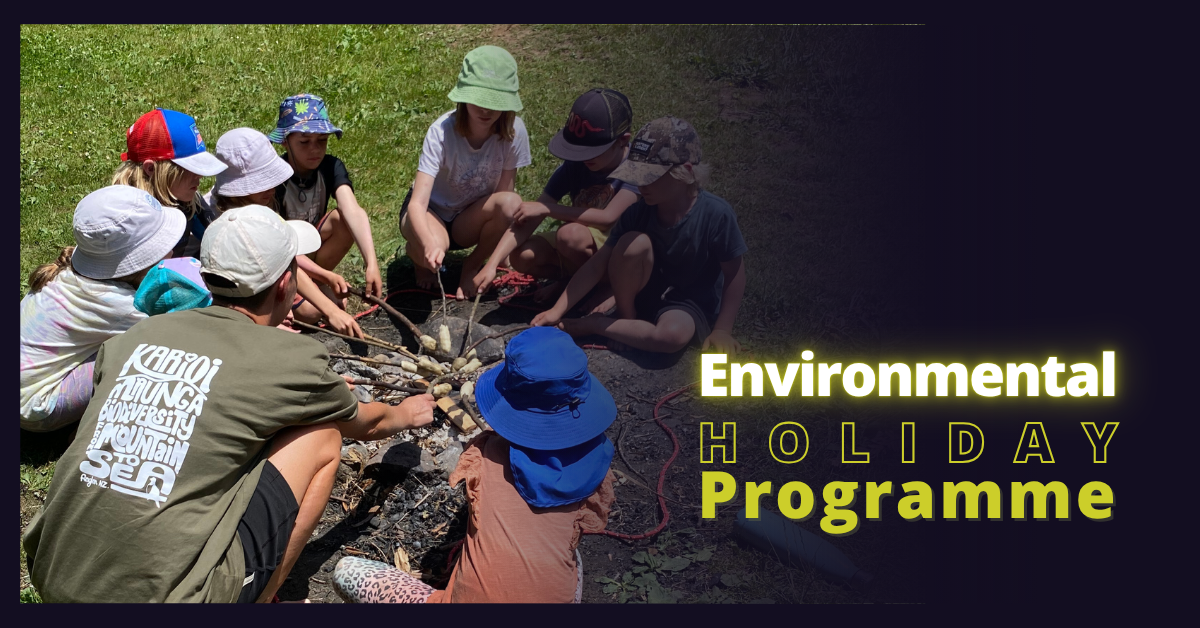Environmental Holiday Programme
