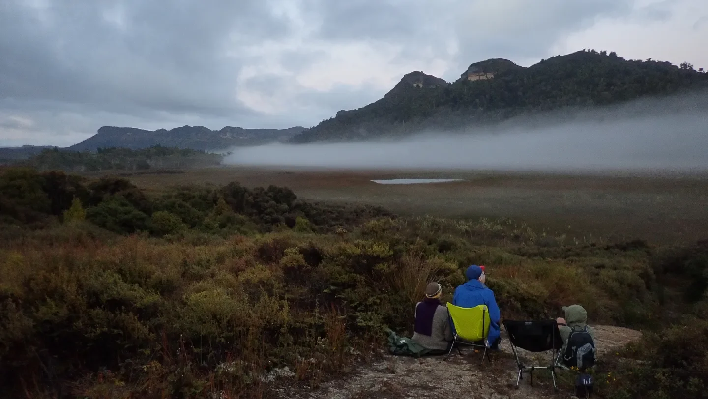 The Great Matuku-Hūrepo Muster of 2026 
