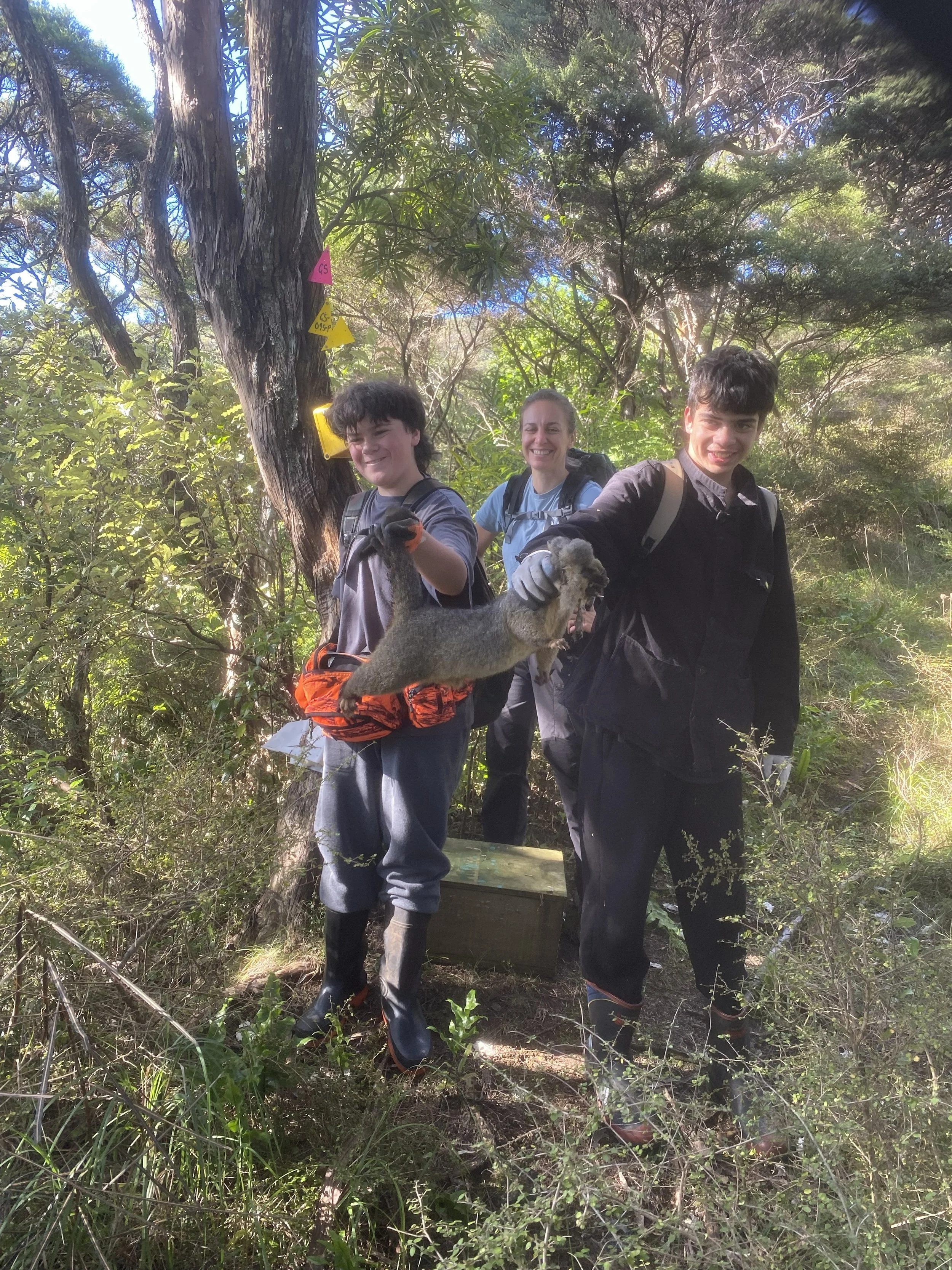 Possum trapping