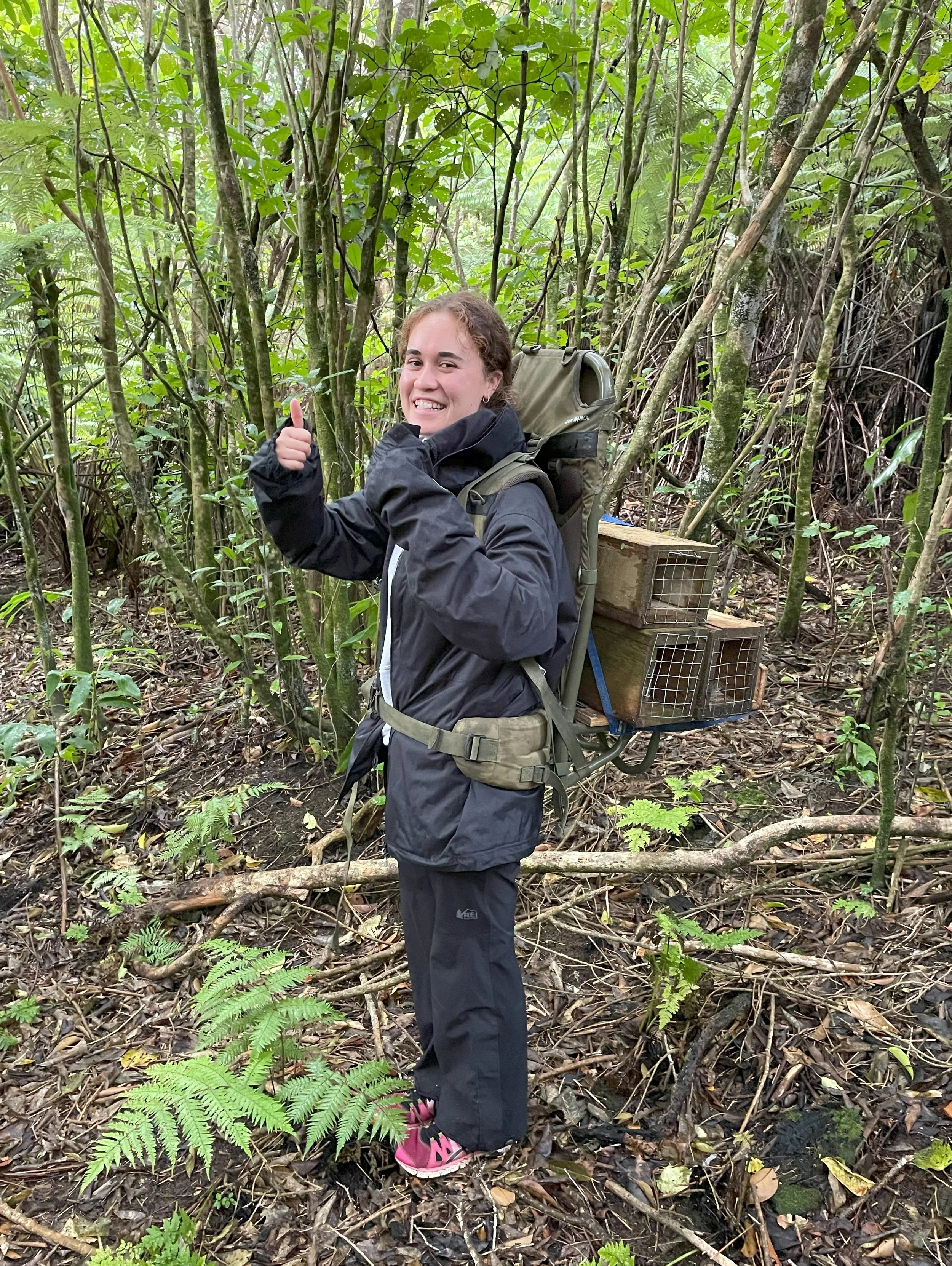 volunteer intentions.jpg