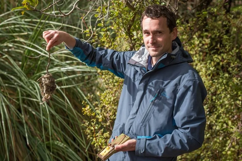 trapping in Raglan.jpg