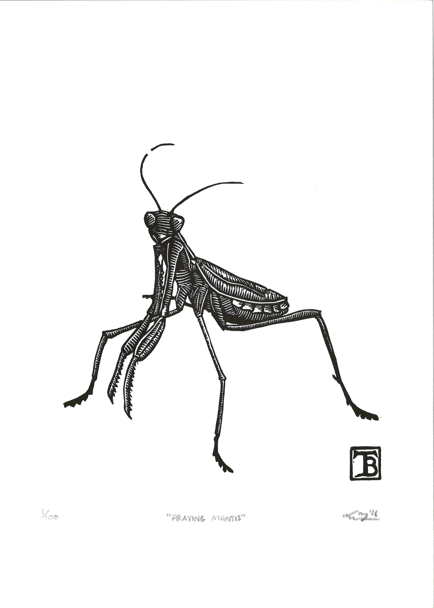 "Praying Mantis"