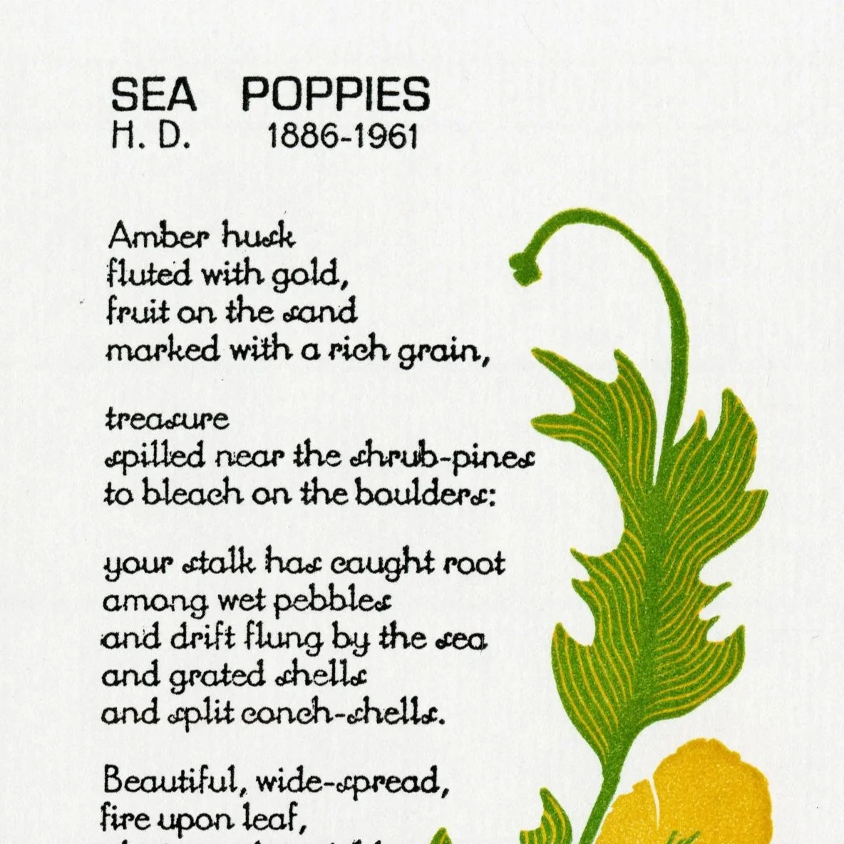text of a poem titled Sea Poppies accompanied with an illustration of a sea poppy in green and yellow