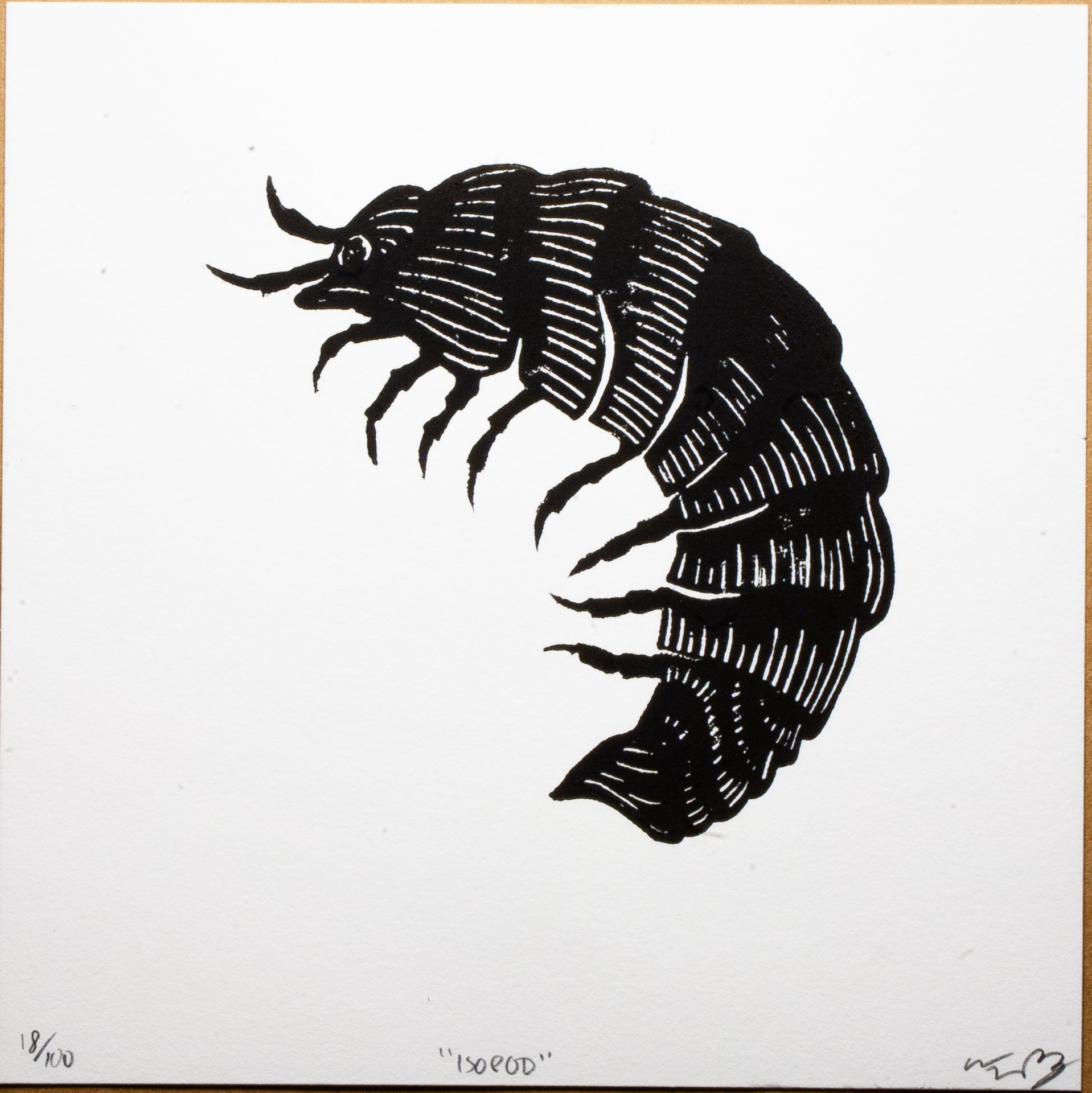 "Isopod"