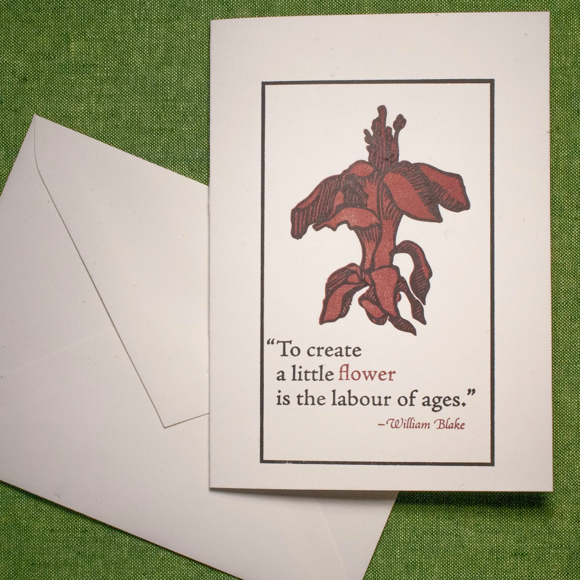 "Little Flower" Greeting Card