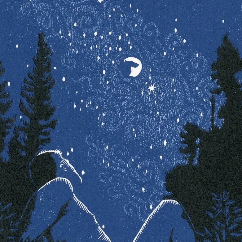 image of a figure staring up at the moon and the night sky