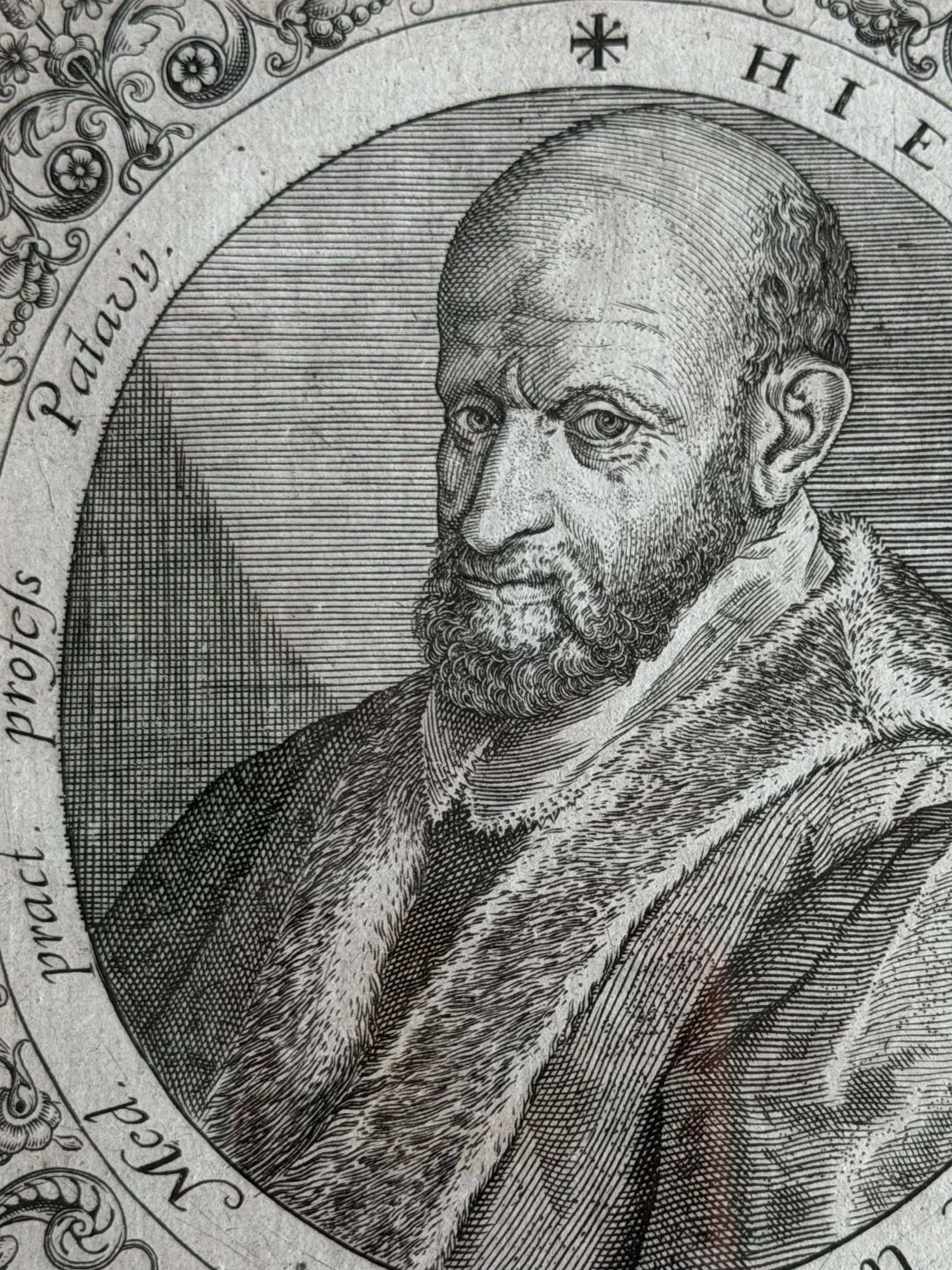 Dr_2860.jpg