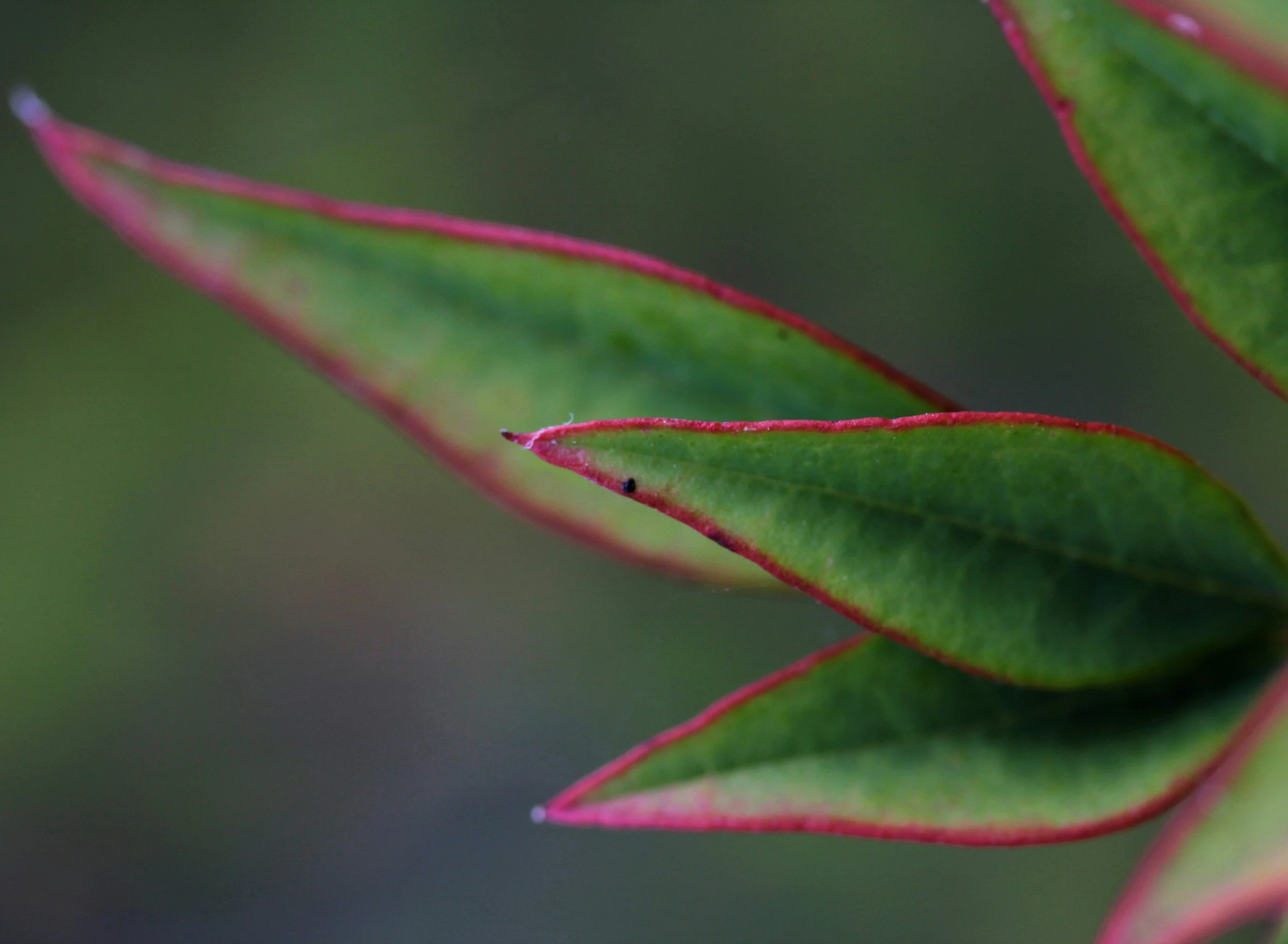 Healing Together: Couples Support During Trauma, Loss or Major Life Stress
