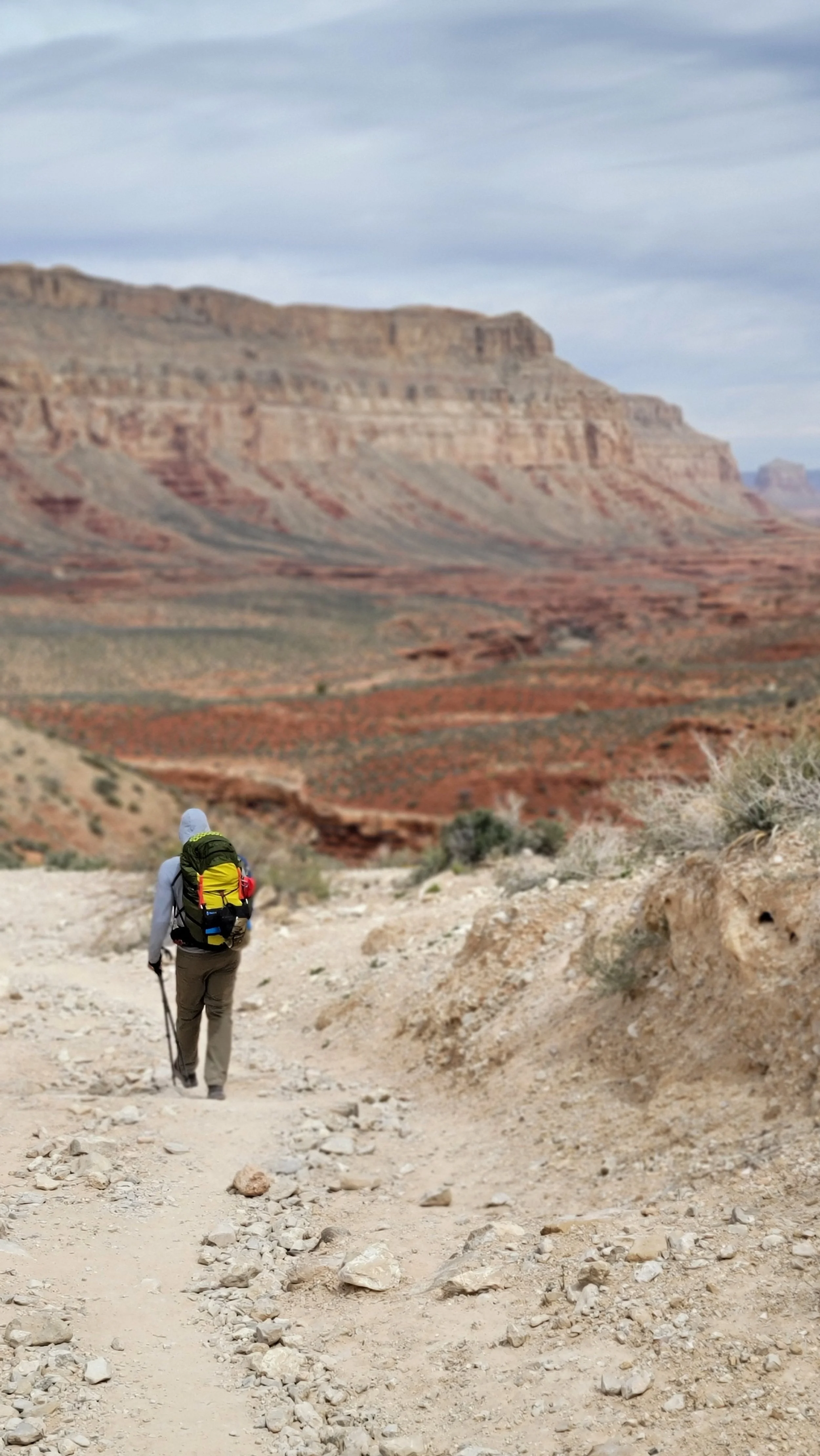 A person hiking on a dirt trail in a desert landscape with red rock formations in the background.