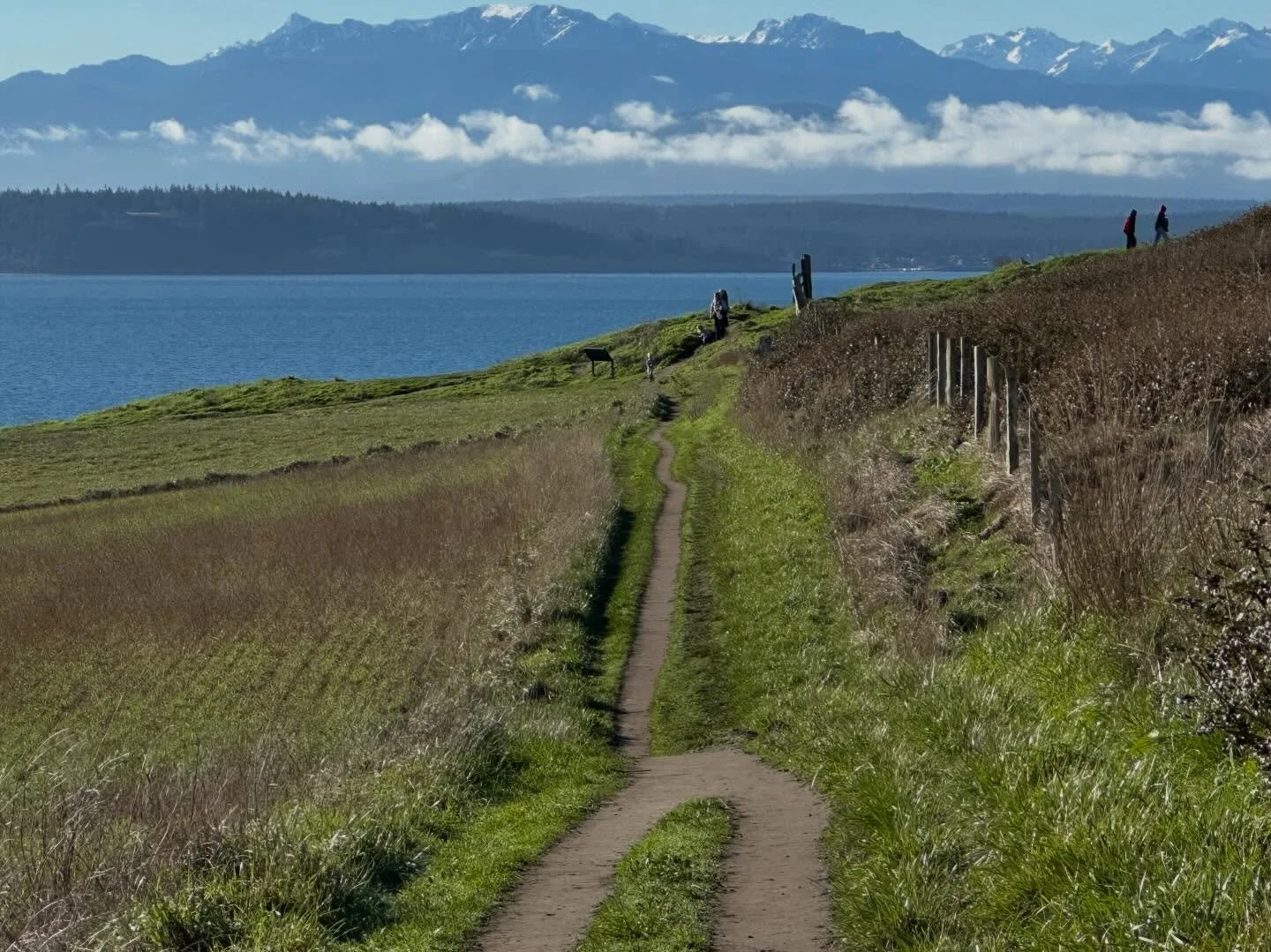 Ebey&rsquo;s Landing offers a much needed long view on this clear winter&rsquo;s day.
