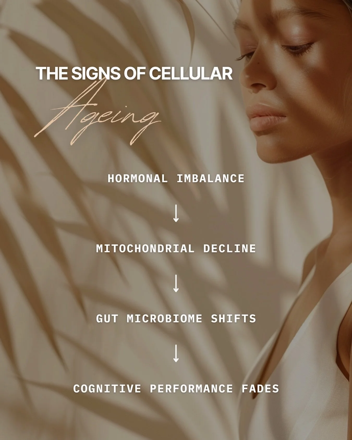 ✨ The Signs of Cellular Ageing

Ageing doesn&rsquo;t begin on the surface &mdash; it begins inside your cells.
As your biology shifts, a subtle but predictable cascade unfolds:

⚡ Reduced cellular energy
Mitochondria produce less ATP, lowering vitali