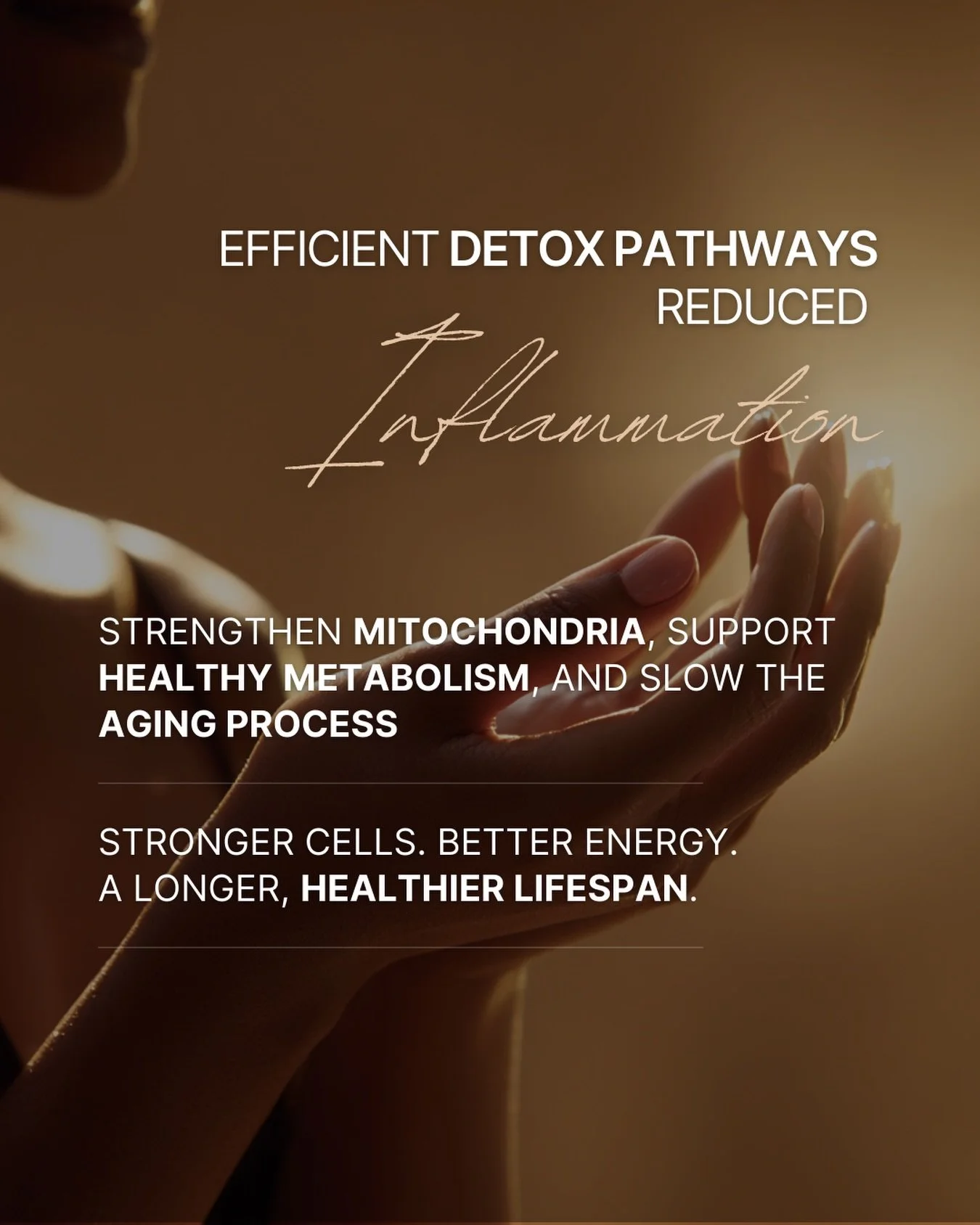 Efficient detox pathways are essential for slowing cellular aging.
When the body clears toxins effectively, inflammation drops, mitochondria strengthen, and metabolism stabilises &mdash; creating the foundation for a longer, healthier lifespan.

At S