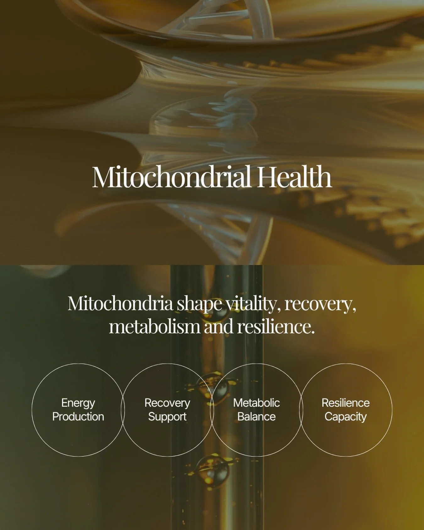 Energy begins inside the cell.
Mitochondria play a central role in the systems behind vitality, recovery, metabolism and resilience.
When energy feels low, the answer should not be guesswork. It may require looking deeper at biomarkers, metabolic hea