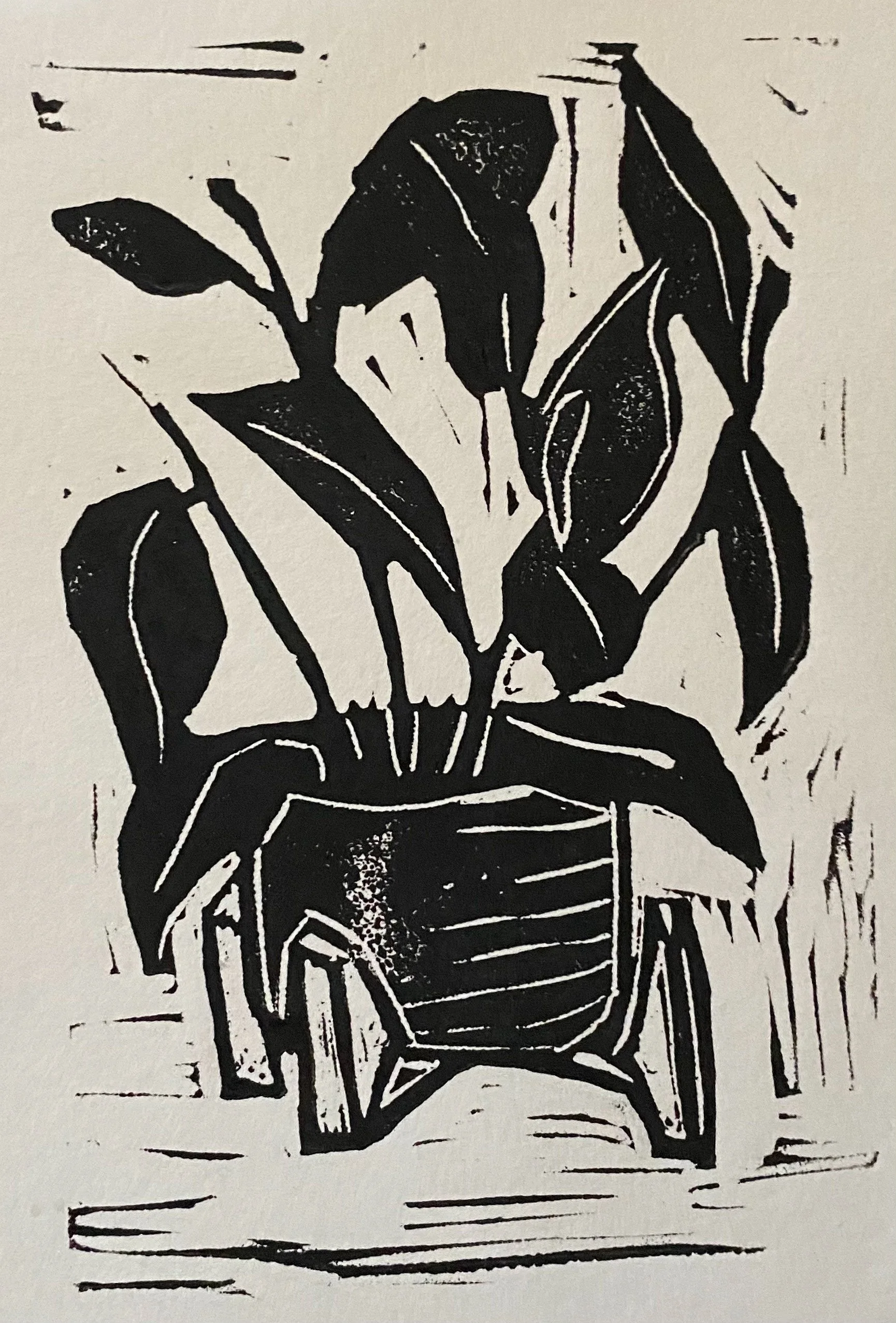 Ficus, Ink on Paper, 2021