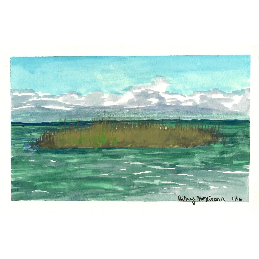 Landscape, 2020