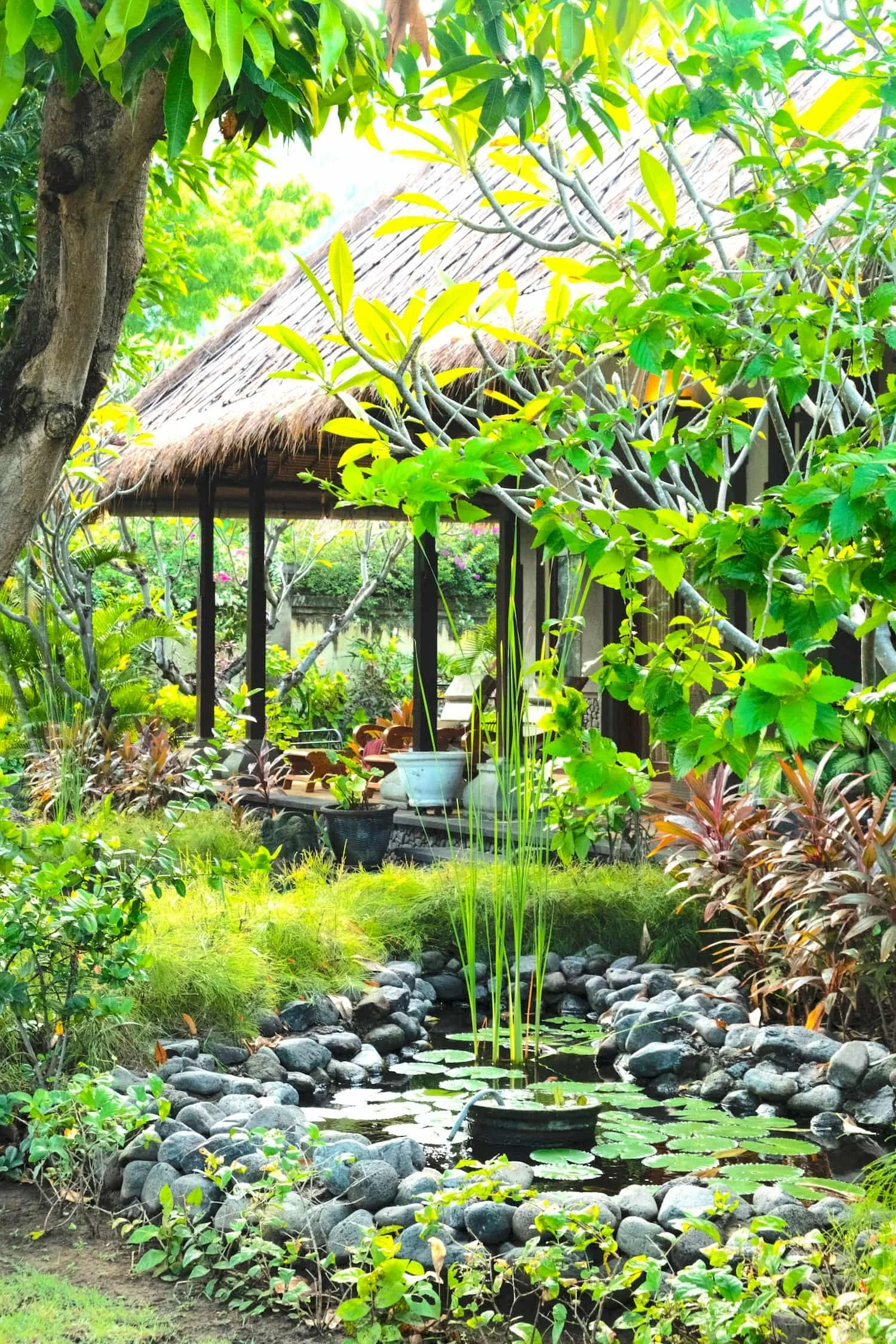 villa-wilali-villa-side-fish-pond-infront-villa-1500w45q.jpg