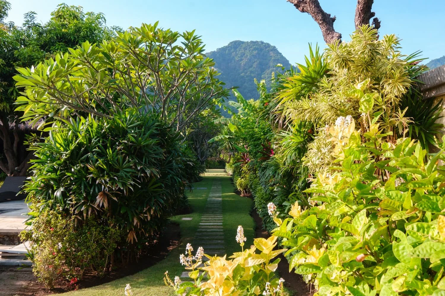 villa-wilali-villa-side-garden-parth-to-mountain-1500w75q.jpg