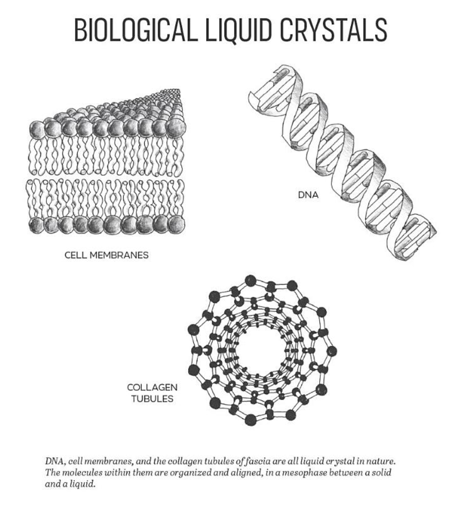 Newsletter #70: 🔮 Crystals in your body? 