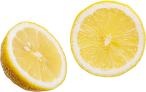 Kitchen — Casey Means MD