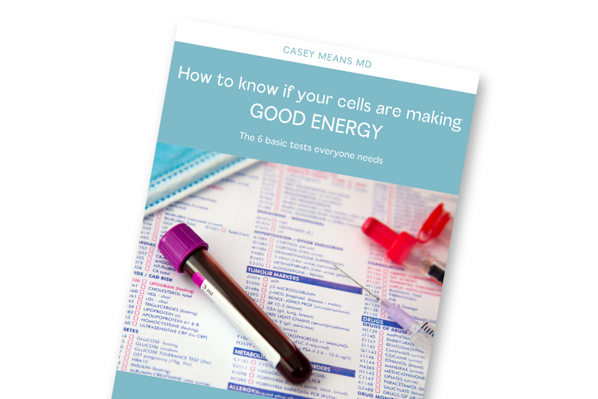 Lab Energy Test How To Know If Your Cells Are Making Good Energy — Casey Means MD