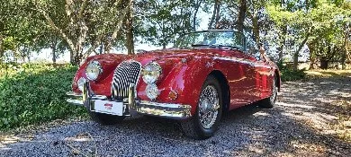 jaguar classic car north canterbury jaguar classic car north canterbury