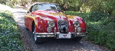jaguar classic car north canterbury jaguar classic car north canterbury