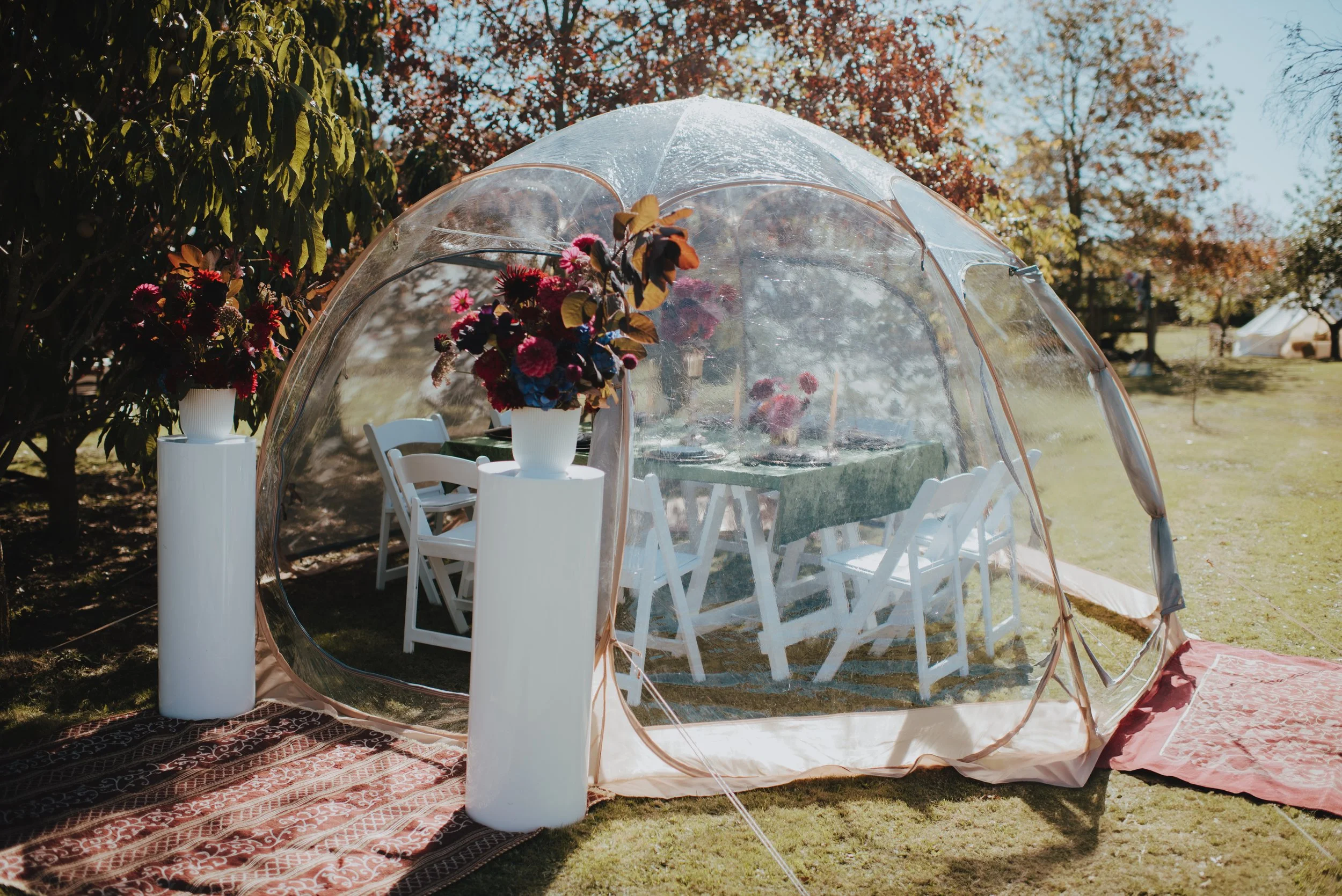 clear tent picnic set up with white furniture and green decor