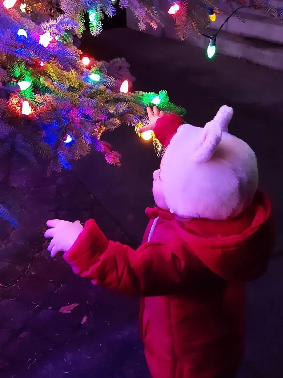 🎄 "Kwissmas Tweee" 🎄

Merry Christmas and Happy New Year, you hooligans.

❤️❤️❤️