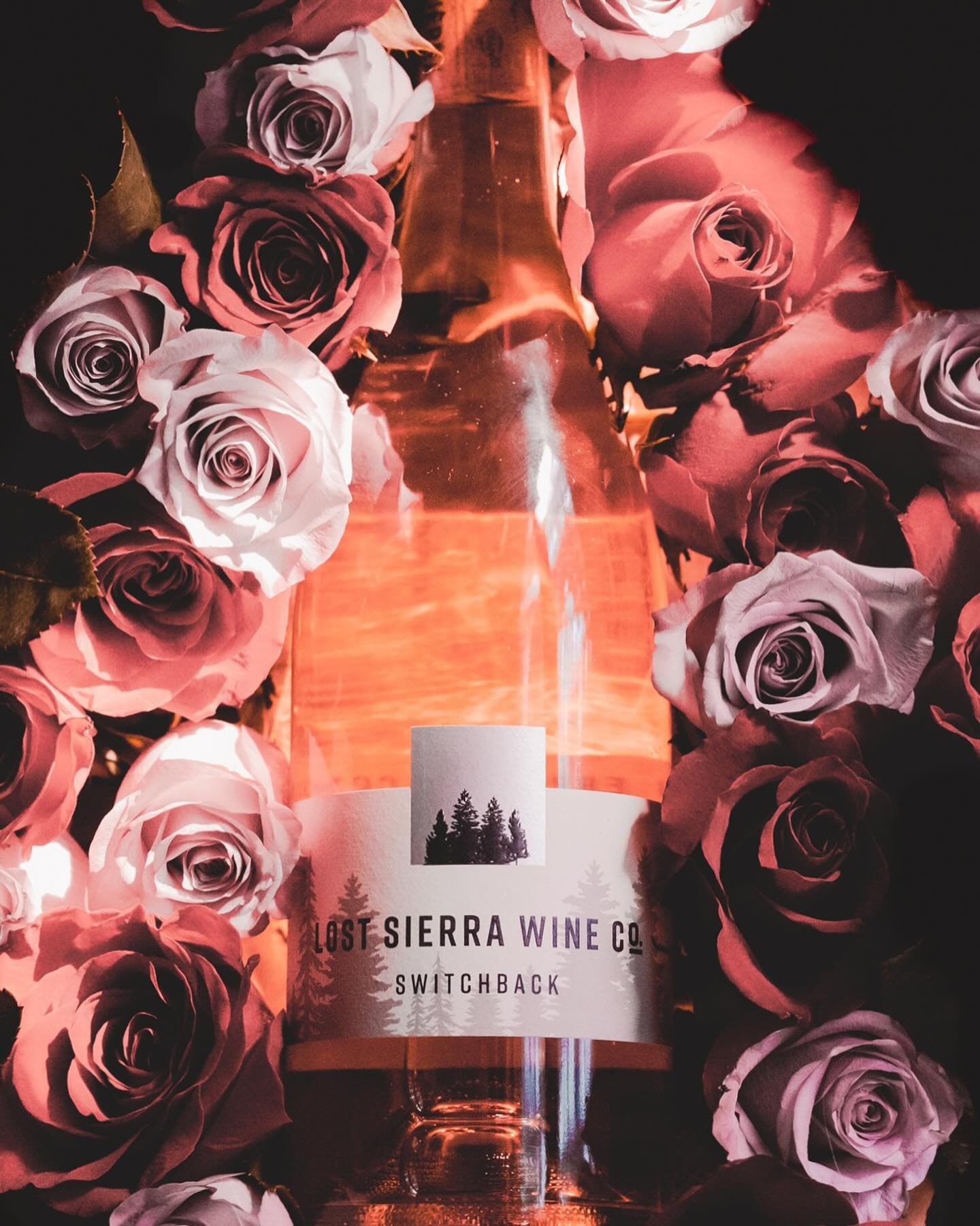 ✨Celebrate Mom with a bouquet of Ros&eacute;! Our 2023 Ros&eacute; of Pinot Noir is a crisp, refreshing, delicate wine perfect for a Mother&rsquo;s Day celebration ✨
Shop our Ros&eacute; by using the link in our bio.
.
.
#winelover #ros&eacute; #rose