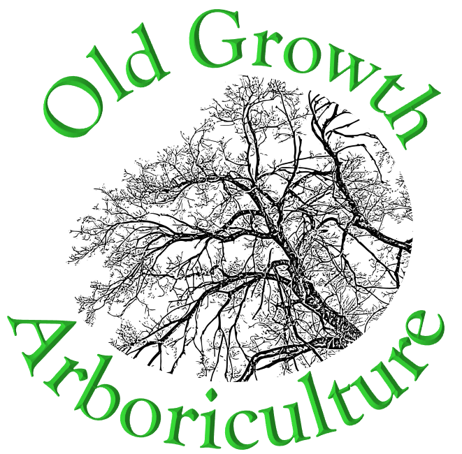 Old Growth Arboriculture