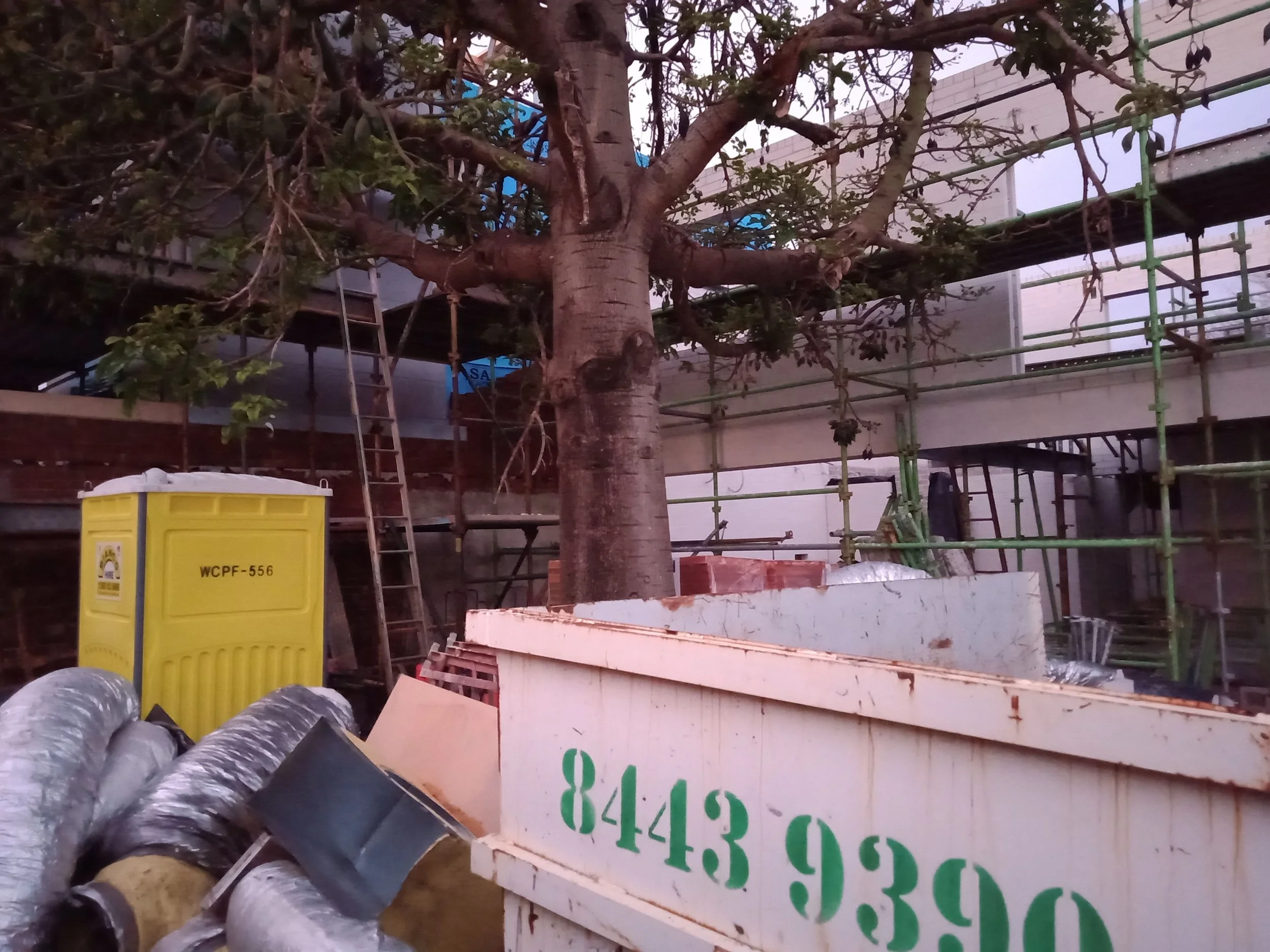 Trees - ideal places to store bins and toilets.