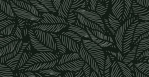 PHWPF04