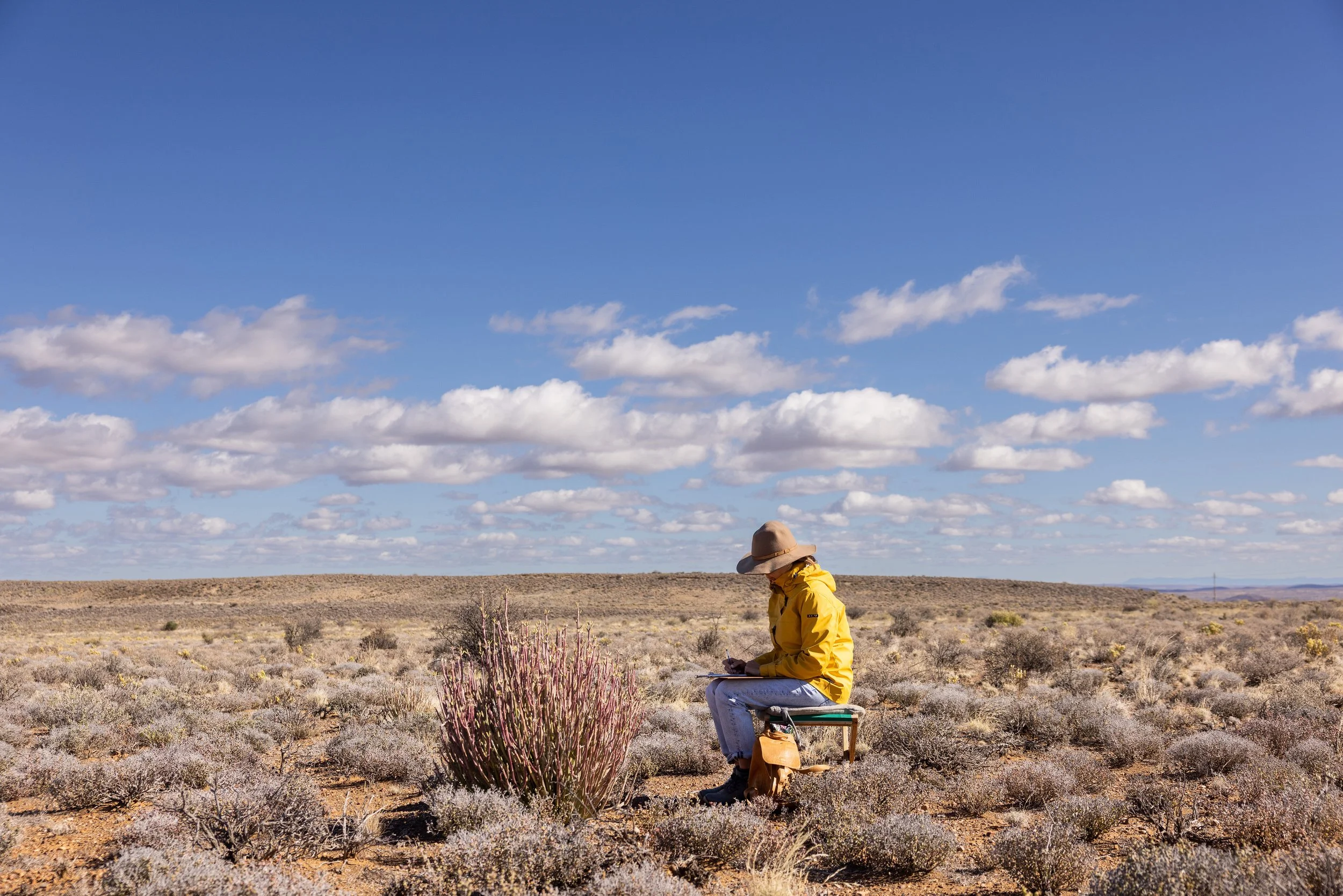 A person in a yellow jacket and hat sitting on a small chair in a desert landscape, writing or drawing on a clipboard, surrounded by sparse bushes and a bright blue sky with scattered clouds.