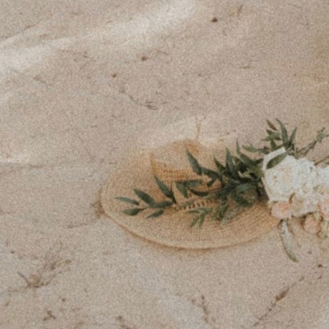 Untitled design (11).PNG