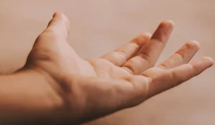 Main ouverte avec la paume vers le haut.