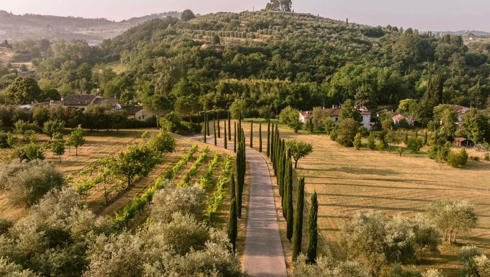 WhatsApp Image 2026-02-12 at 12.53.48 (4).jpeg