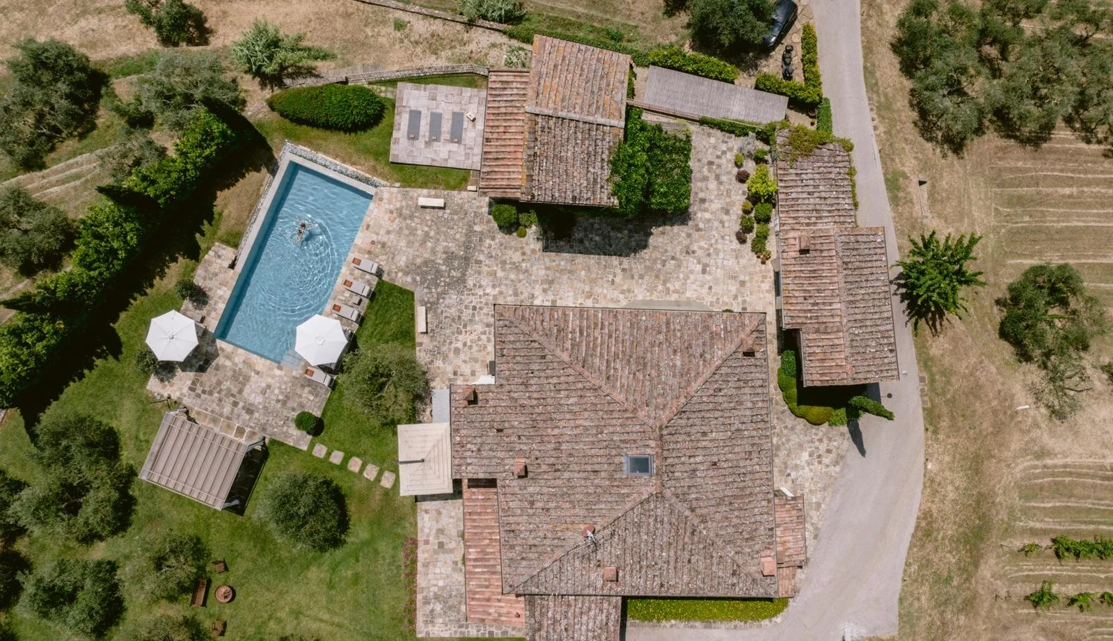 WhatsApp Image 2026-02-12 at 12.53.46 (5).jpeg