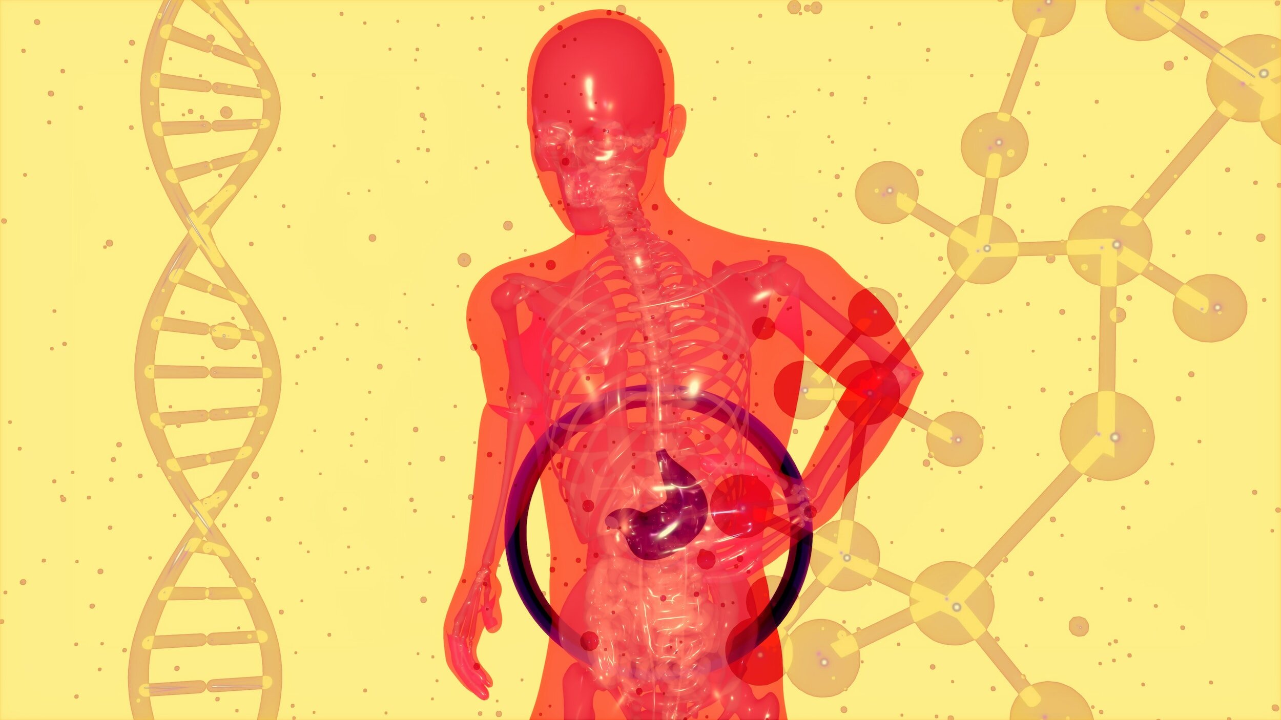 Dysbiosis vs. Leaky Gut: Key Differences Explained