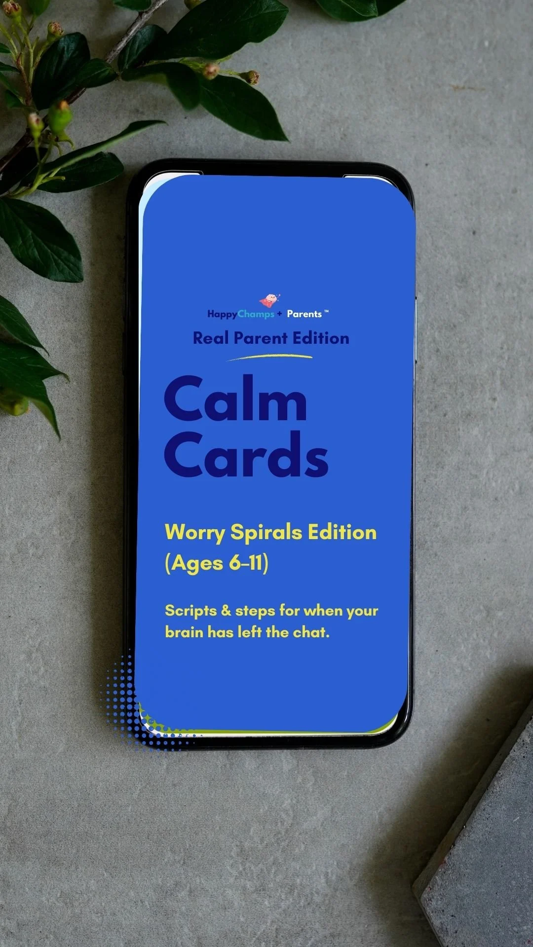 2026 01 30  Phone Mockup Instagram Story.jpg