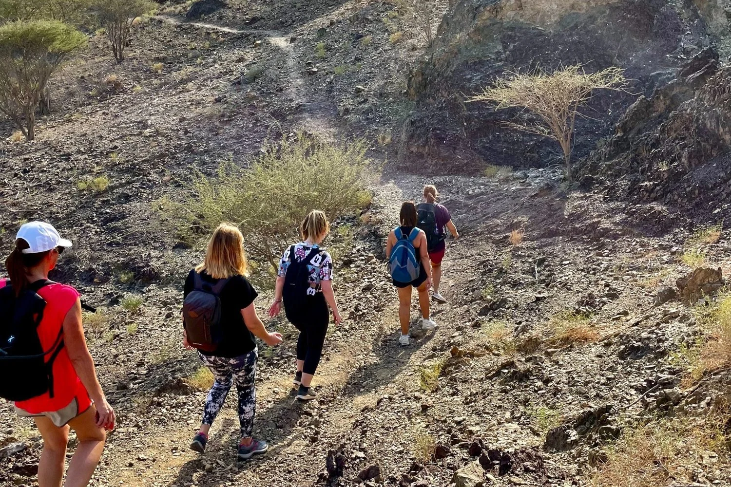 sunrise hike on the fox trail pre season in the safe window