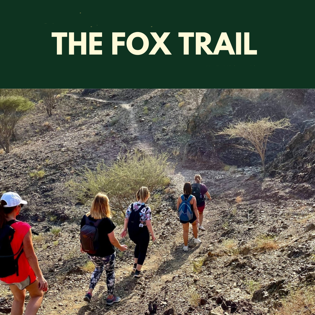 My First Fox Trail at Suhaila Lake