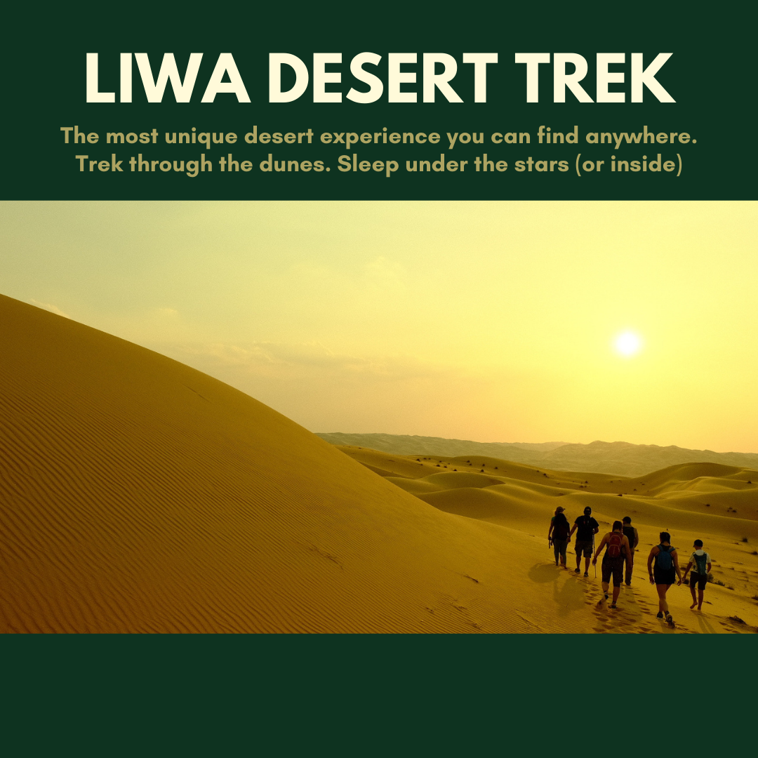 Thrilling Liwa Desert