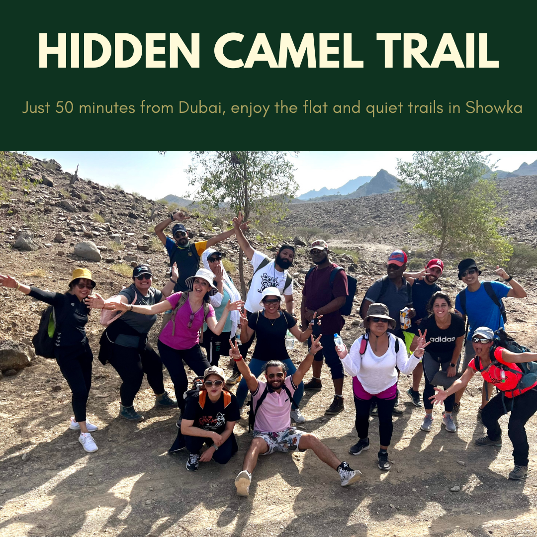 Mystery of the Hidden Camel: My Journey