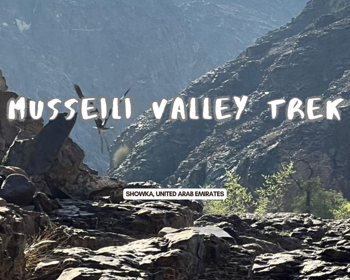 Embarking on the Musseili Valley Trek