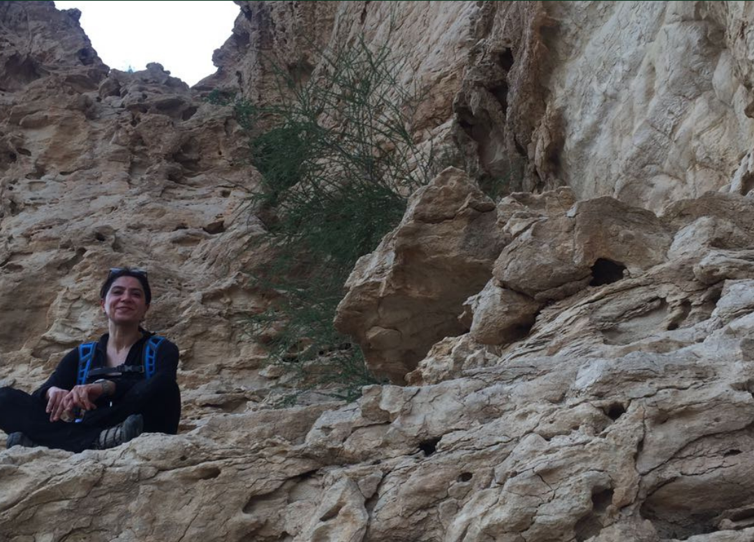 Exploring the Enchanting Fern Gulley