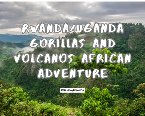 Unforgettable Adventure: Gorillas and Volcanoes in Rwanda/Uganda