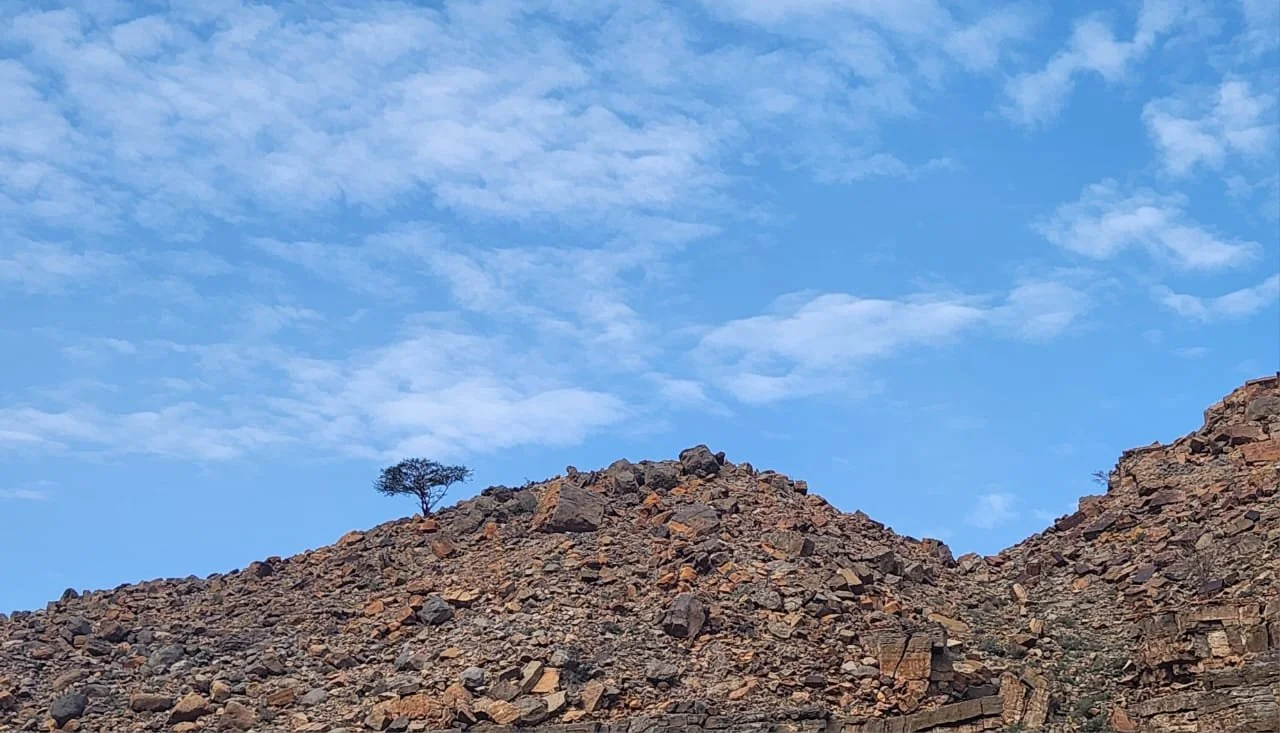 wadi Dahir23.jpeg